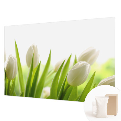 Fototapete fürs Kinderzimmer mit Motiv weißer Tulpen