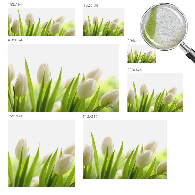 Fototapete fürs Kinderzimmer mit Motiv weißer Tulpen