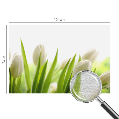 Fototapete fürs Kinderzimmer mit Motiv weißer Tulpen