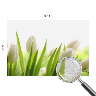 Fototapete fürs Kinderzimmer mit Motiv weißer Tulpen