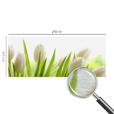 Fototapete fürs Kinderzimmer mit Motiv weißer Tulpen