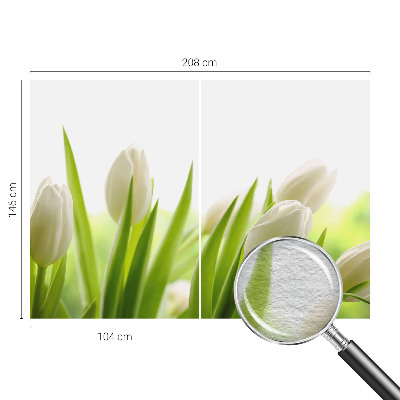 Fototapete fürs Kinderzimmer mit Motiv weißer Tulpen