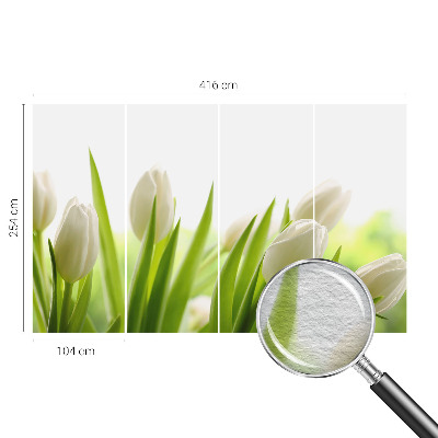 Fototapete fürs Kinderzimmer mit Motiv weißer Tulpen