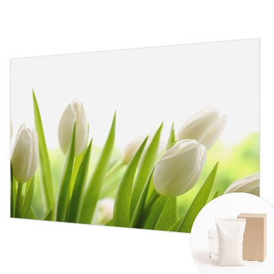 Fototapete fürs Kinderzimmer mit Motiv weißer Tulpen