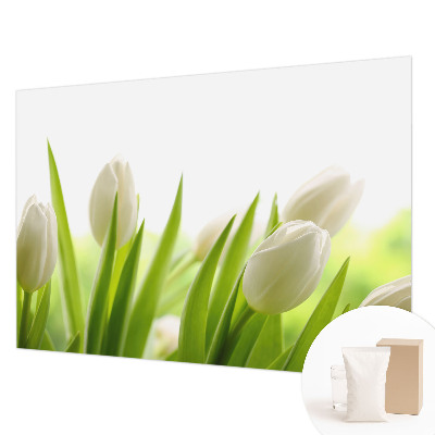 Fototapete fürs Kinderzimmer mit Motiv weißer Tulpen