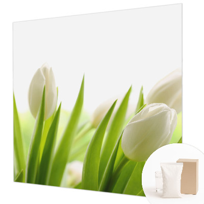 Fototapete fürs Kinderzimmer mit Motiv weißer Tulpen