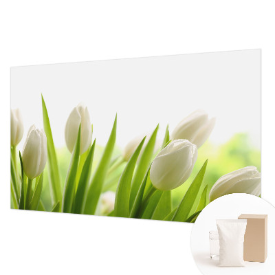 Fototapete fürs Kinderzimmer mit Motiv weißer Tulpen