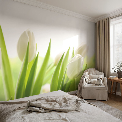 Fototapete fürs Kinderzimmer mit Motiv weißer Tulpen