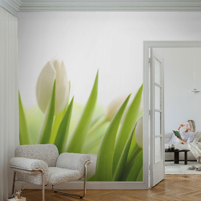 Fototapete fürs Kinderzimmer mit Motiv weißer Tulpen