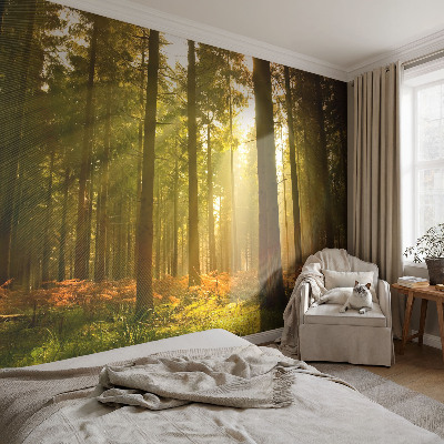 Motivtapete aus Vlies mit dem Motiv „Waldmorgen“