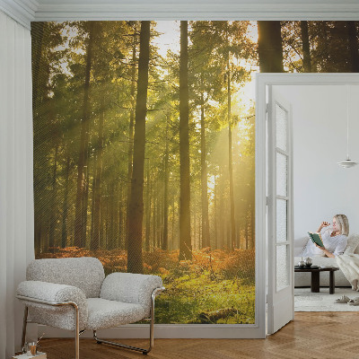 Motivtapete aus Vlies mit dem Motiv „Waldmorgen“
