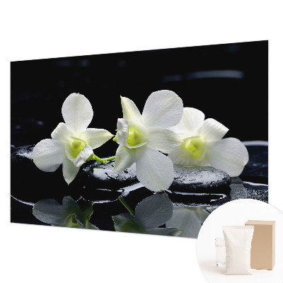 Vlies-Fototapete fürs Wohnzimmer mit Blumen- und Steinmotiven