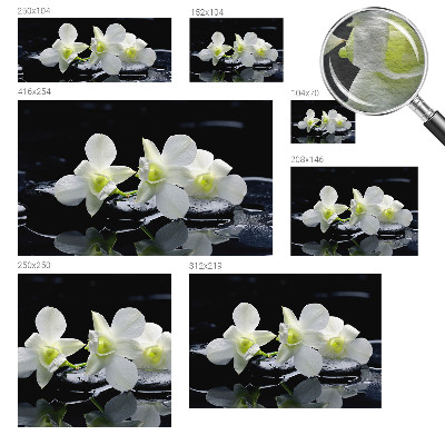 Vlies-Fototapete fürs Wohnzimmer mit Blumen- und Steinmotiven