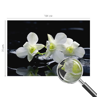 Vlies-Fototapete fürs Wohnzimmer mit Blumen- und Steinmotiven