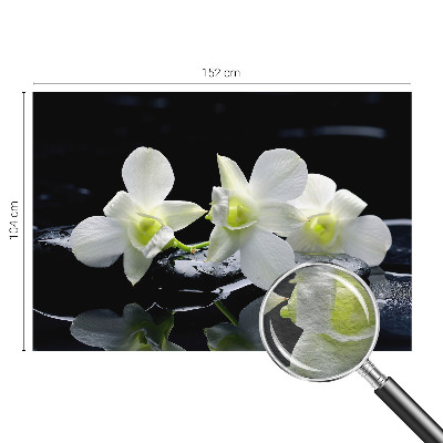 Vlies-Fototapete fürs Wohnzimmer mit Blumen- und Steinmotiven