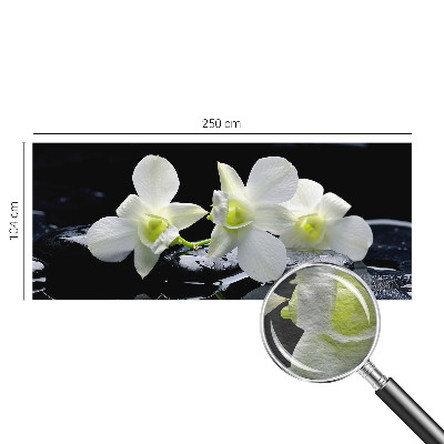 Vlies-Fototapete fürs Wohnzimmer mit Blumen- und Steinmotiven