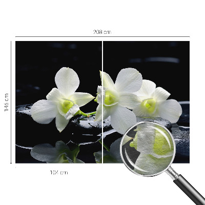 Vlies-Fototapete fürs Wohnzimmer mit Blumen- und Steinmotiven