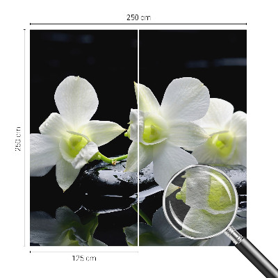 Vlies-Fototapete fürs Wohnzimmer mit Blumen- und Steinmotiven