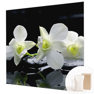 Vlies-Fototapete fürs Wohnzimmer mit Blumen- und Steinmotiven