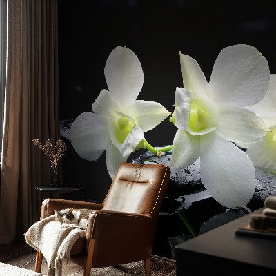 Vlies-Fototapete fürs Wohnzimmer mit Blumen- und Steinmotiven