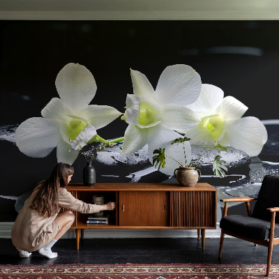 Vlies-Fototapete fürs Wohnzimmer mit Blumen- und Steinmotiven