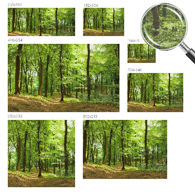 Motivtapete Natürlicher Weg