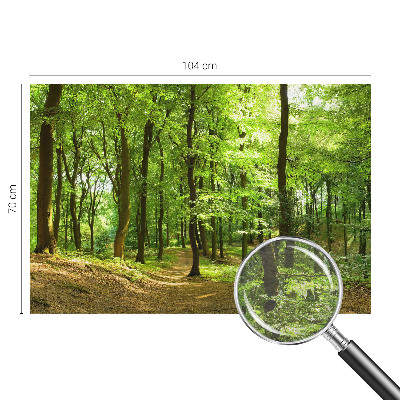 Motivtapete Natürlicher Weg