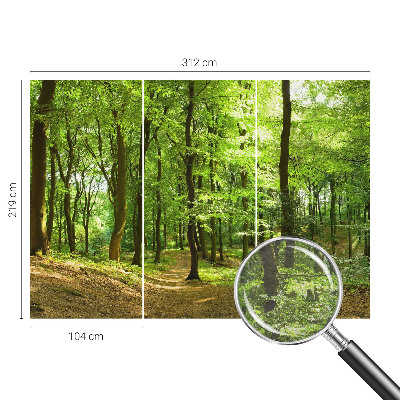 Motivtapete Natürlicher Weg