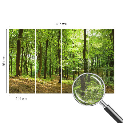 Motivtapete Natürlicher Weg