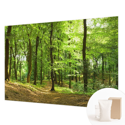 Motivtapete Natürlicher Weg