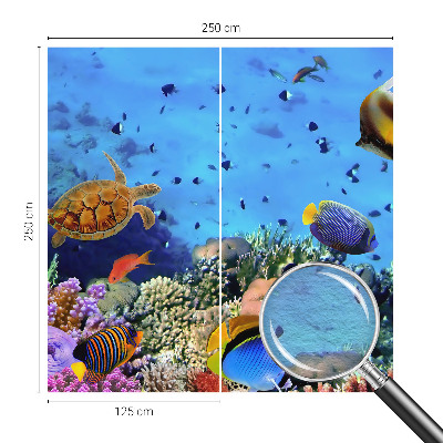 Bildtapete Korallenriff