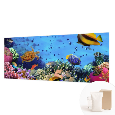 Bildtapete Korallenriff