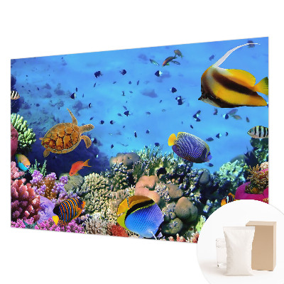 Bildtapete Korallenriff