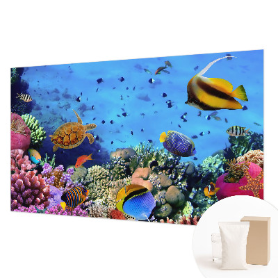 Bildtapete Korallenriff