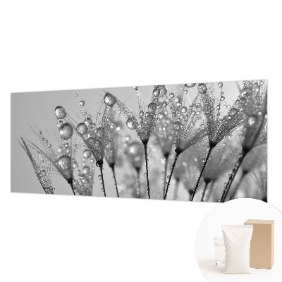 Fototapete fürs Schlafzimmer Feuchte Delikatesse