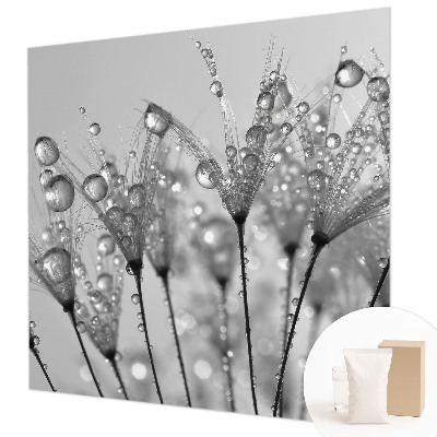 Fototapete fürs Schlafzimmer Feuchte Delikatesse