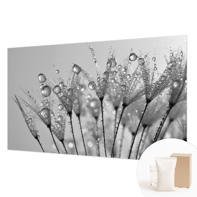 Fototapete fürs Schlafzimmer Feuchte Delikatesse