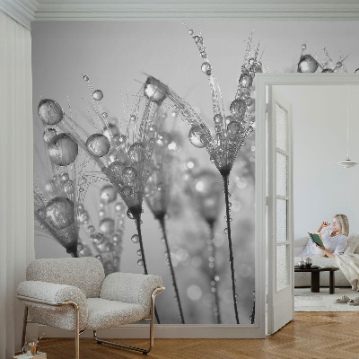Fototapete fürs Schlafzimmer mit feuchter Delikatesse als Motiv