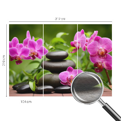 Fototapete mit Orchideen und Steinen als Motiv