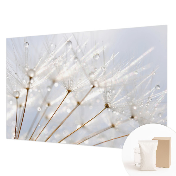 Dekorative Wand-Fototapete mit rosafarbenem Löwenzahn-Motiv