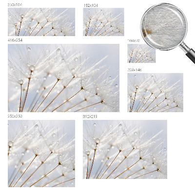 Dekorative Wand-Fototapete mit rosafarbenem Löwenzahn-Motiv