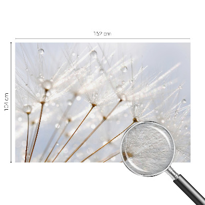 Dekorative Wand-Fototapete mit rosafarbenem Löwenzahn-Motiv