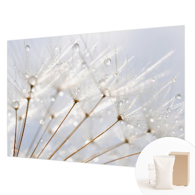 Dekorative Wand-Fototapete mit rosafarbenem Löwenzahn-Motiv