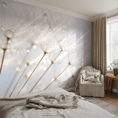 Dekorative Wand-Fototapete Rosafarbener Löwenzahn