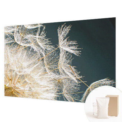 Fototapete fürs Schlafzimmer Löwenzahn der Leichtigkeit