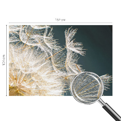 Fototapete fürs Schlafzimmer Löwenzahn der Leichtigkeit