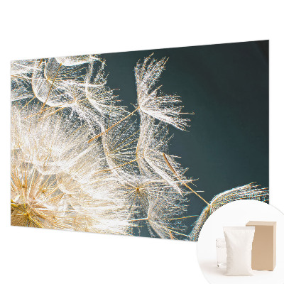 Fototapete fürs Schlafzimmer Löwenzahn der Leichtigkeit