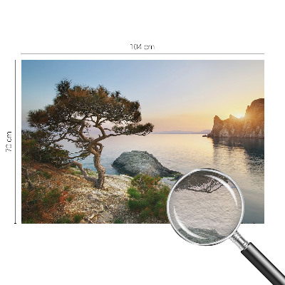 Vlies-Fototapete fürs Wohnzimmer mit einem Motiv friedlicher Natur