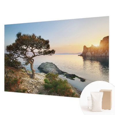 Vlies-Fototapete fürs Wohnzimmer Friedliche Natur