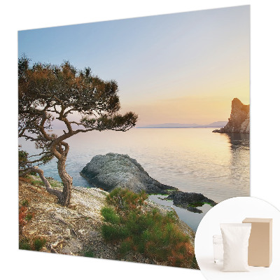 Vlies-Fototapete fürs Wohnzimmer mit einem Motiv friedlicher Natur